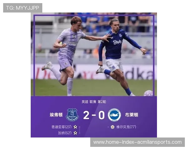 埃弗顿球员疑似手球逃过点球判罚引发桑德兰球迷强烈不满 埃弗顿球员疑似手球逃过点球判罚引发桑德兰球迷强烈不满