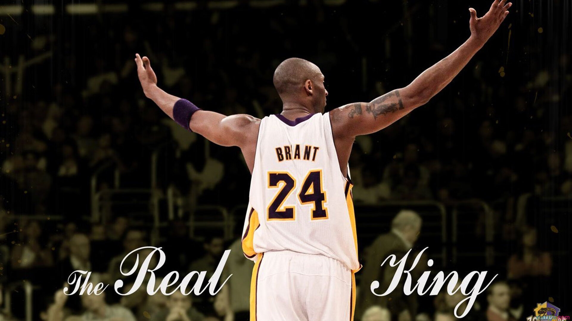 “胡利安·门德斯的进攻与防守双重威胁,助力美洲狮队实现突破”